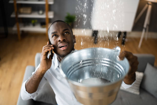 Best Water damage restoration near me  in Anderson Creek, NC