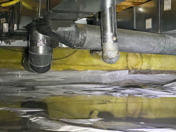 Best Water damage restoration experts  in Anderson Creek, NC